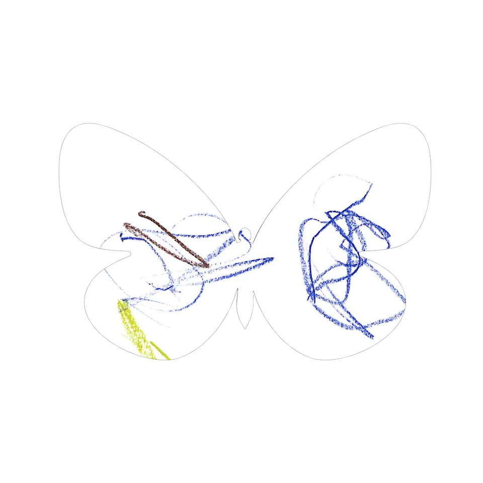 Original Butterfly Image
