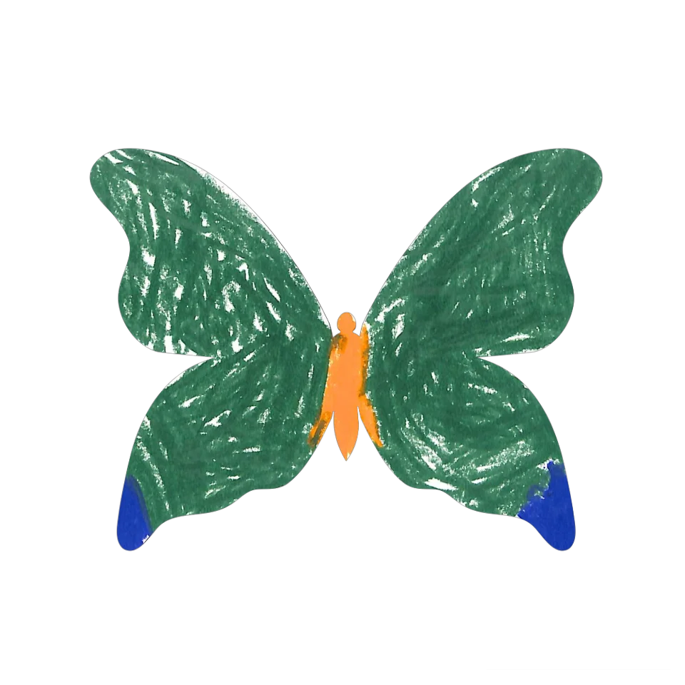 Original Butterfly Image