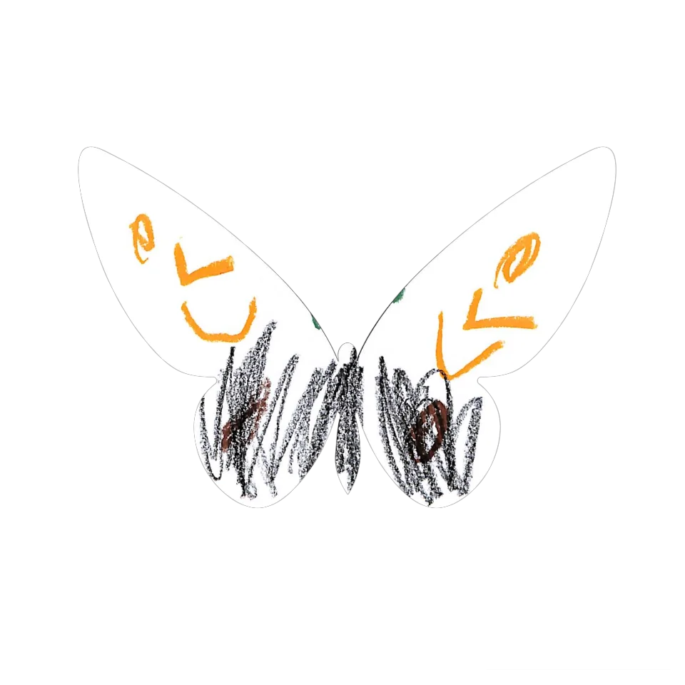 Original Butterfly Image