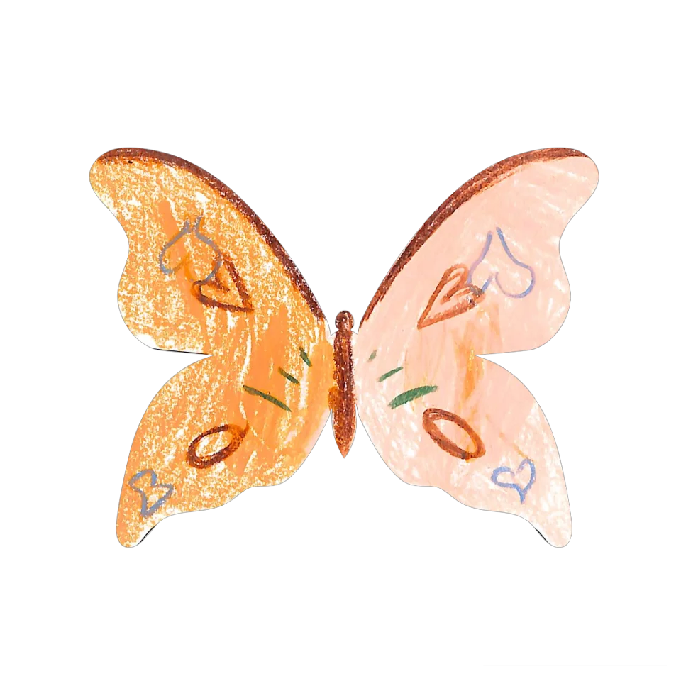 Original Butterfly Image