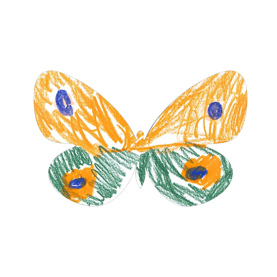 Original Butterfly Image
