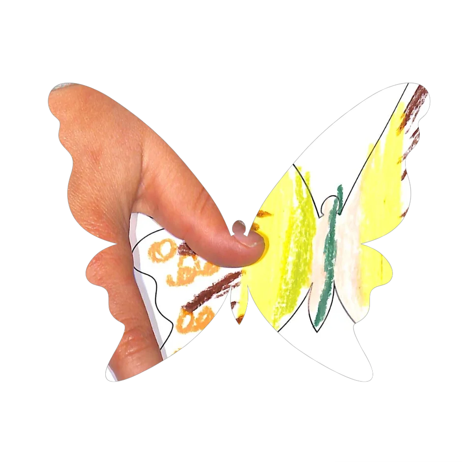 Original Butterfly Image