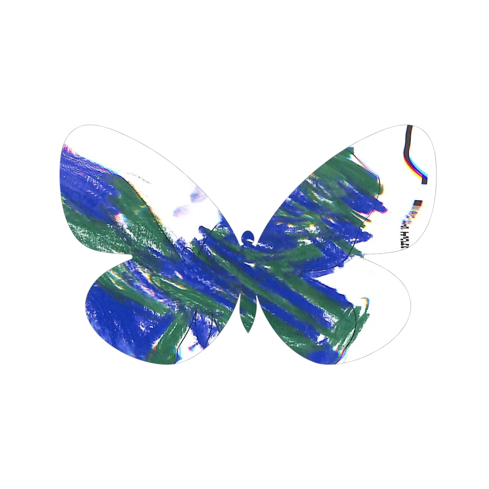Original Butterfly Image