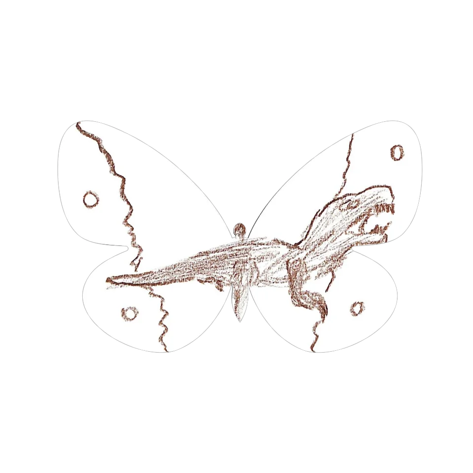 Original Butterfly Image