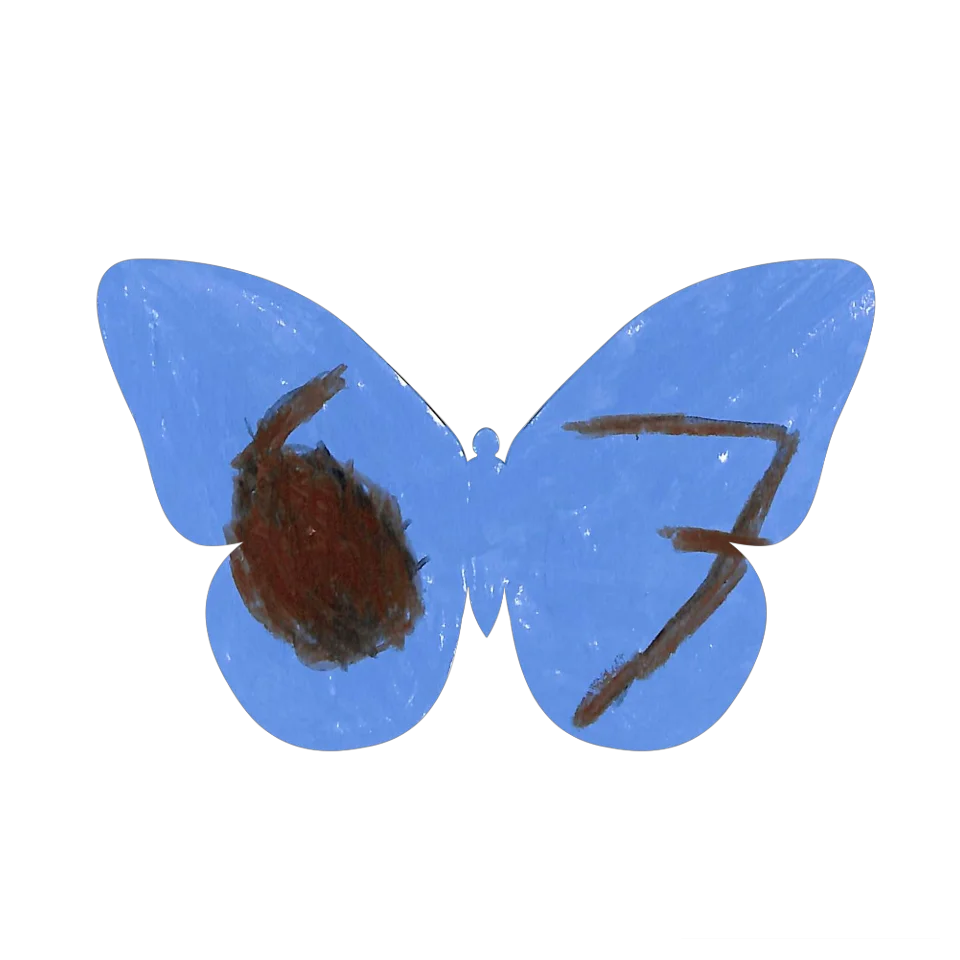 Original Butterfly Image