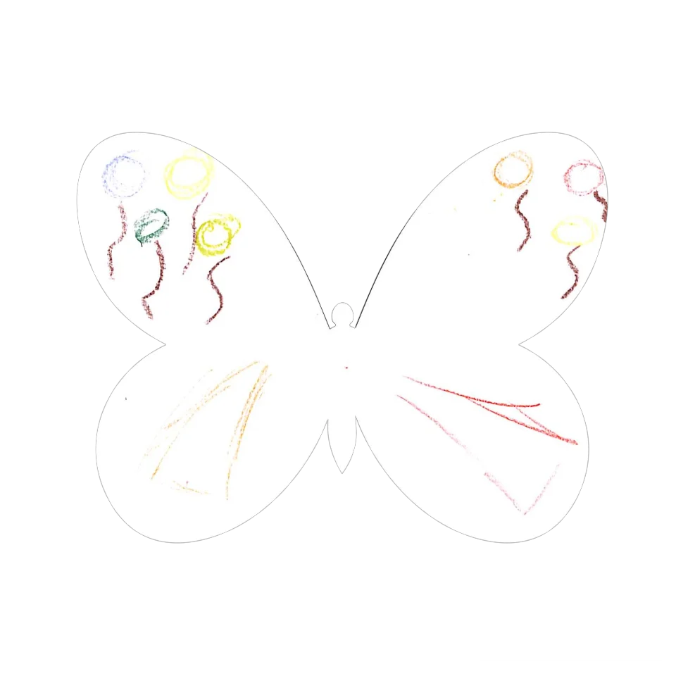 Original Butterfly Image