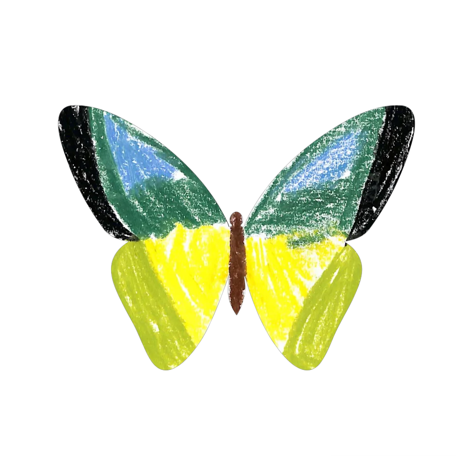 Original Butterfly Image