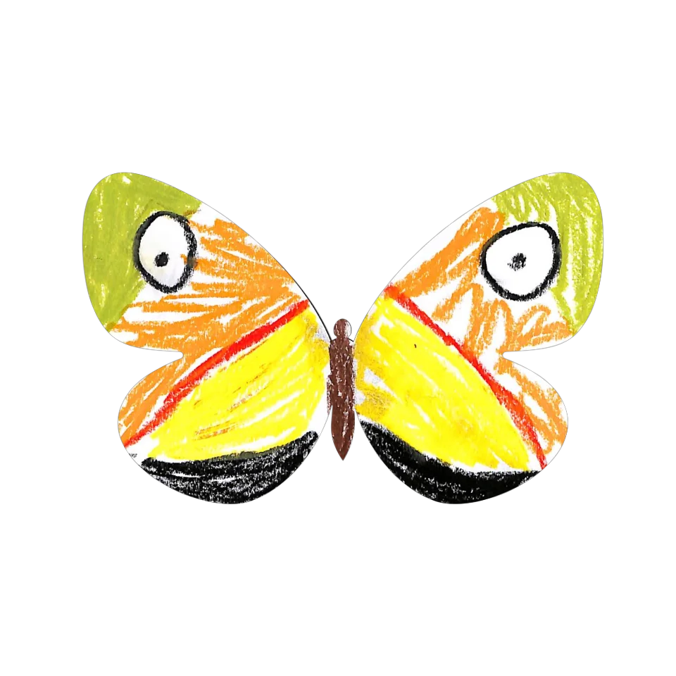 Original Butterfly Image