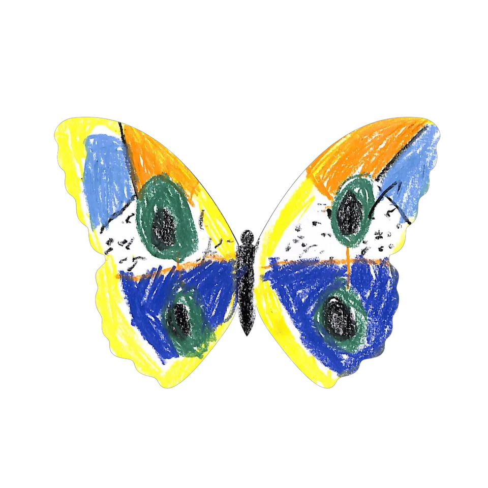 Original Butterfly Image