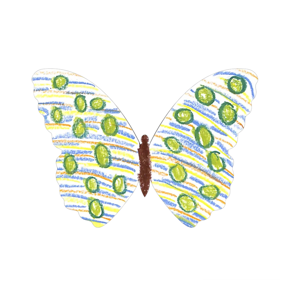 Original Butterfly Image