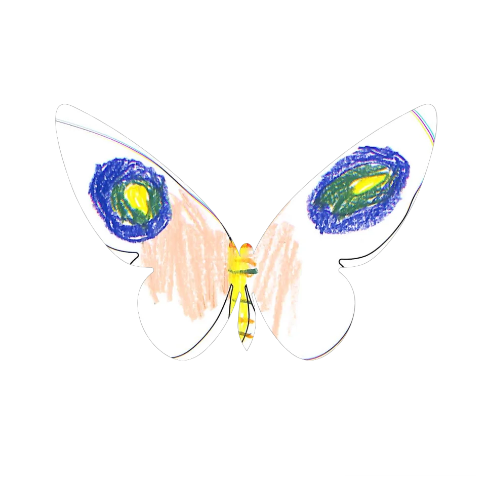 Original Butterfly Image