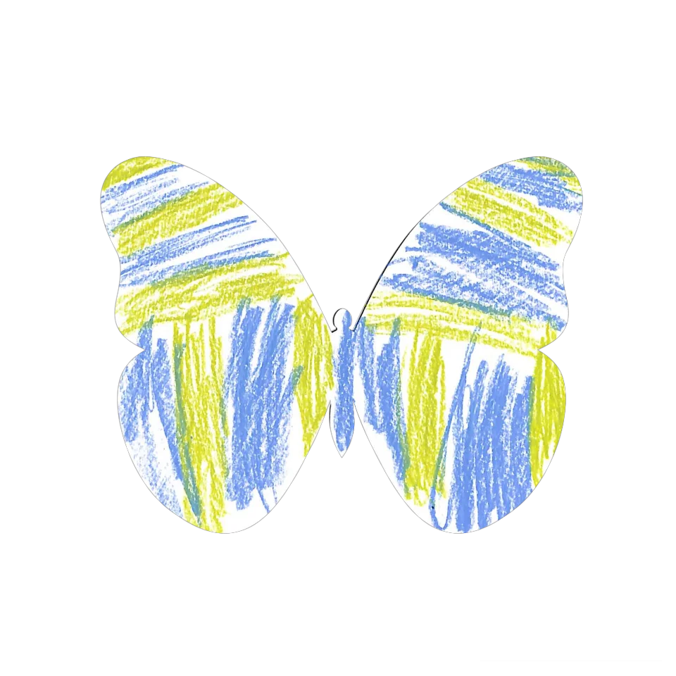 Original Butterfly Image