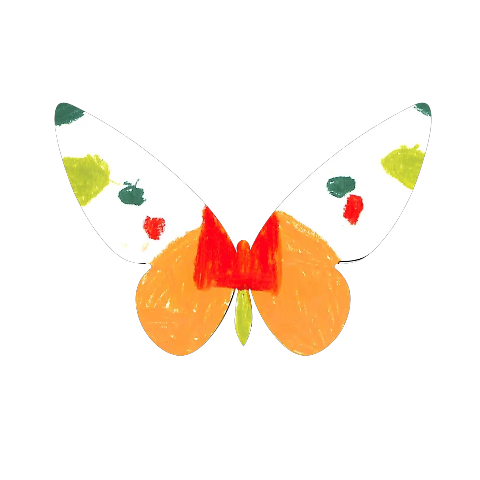 Original Butterfly Image