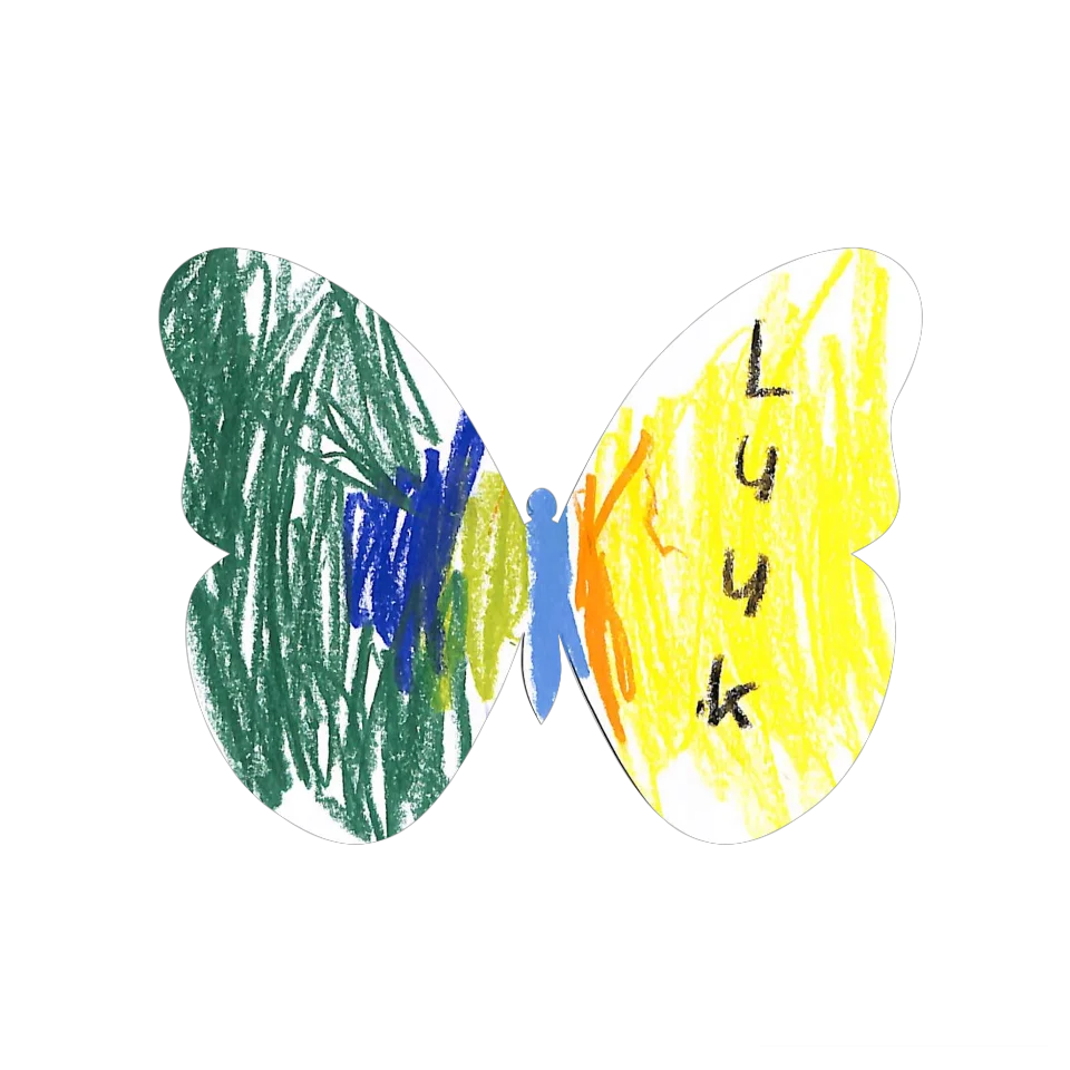 Original Butterfly Image
