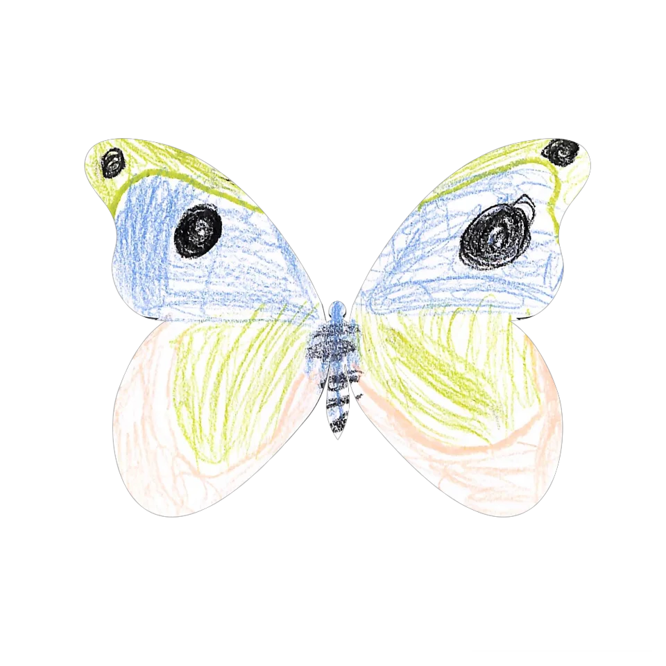 Original Butterfly Image