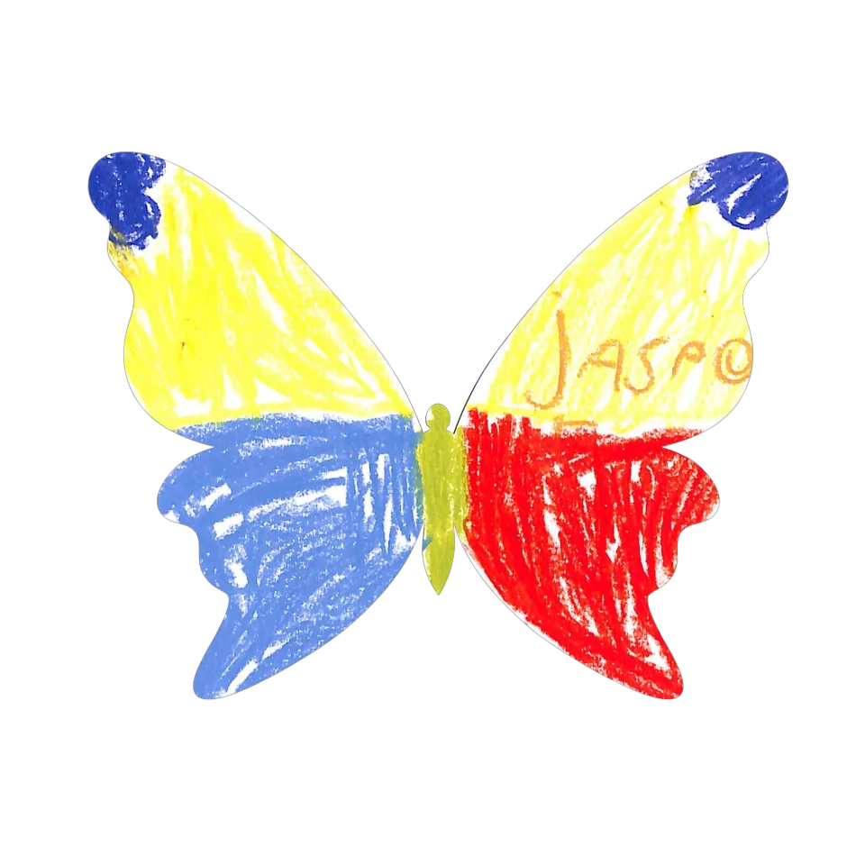 Original Butterfly Image