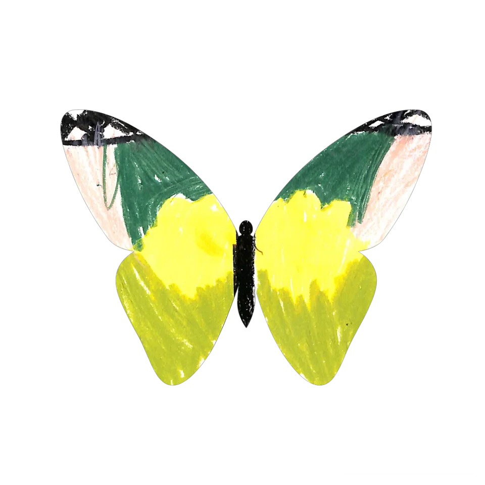 Original Butterfly Image