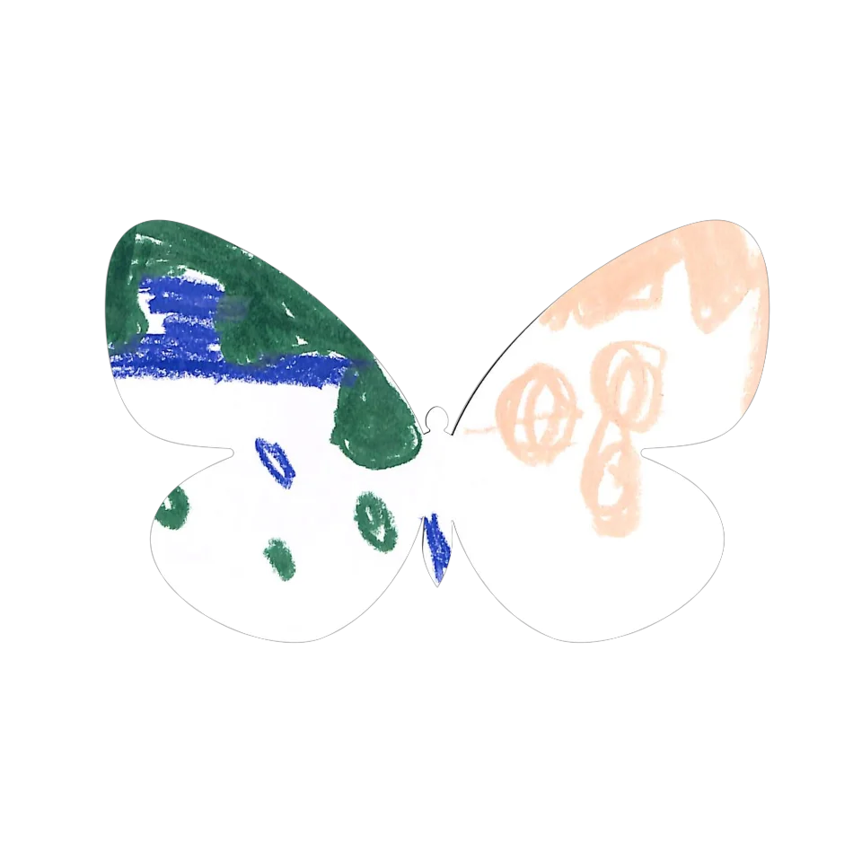 Original Butterfly Image