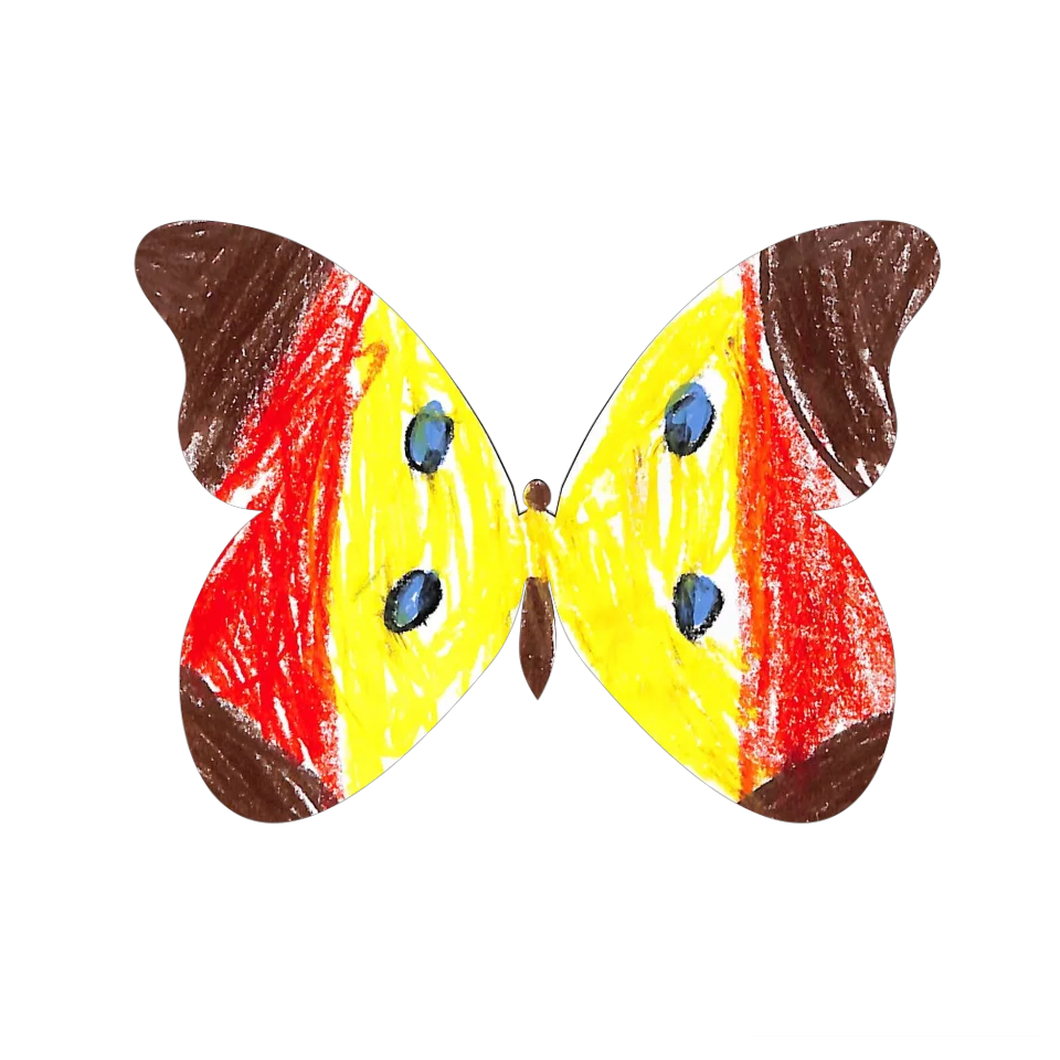 Original Butterfly Image
