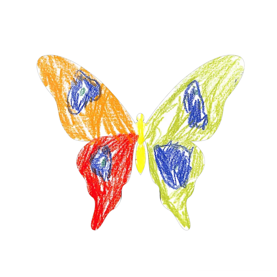Original Butterfly Image