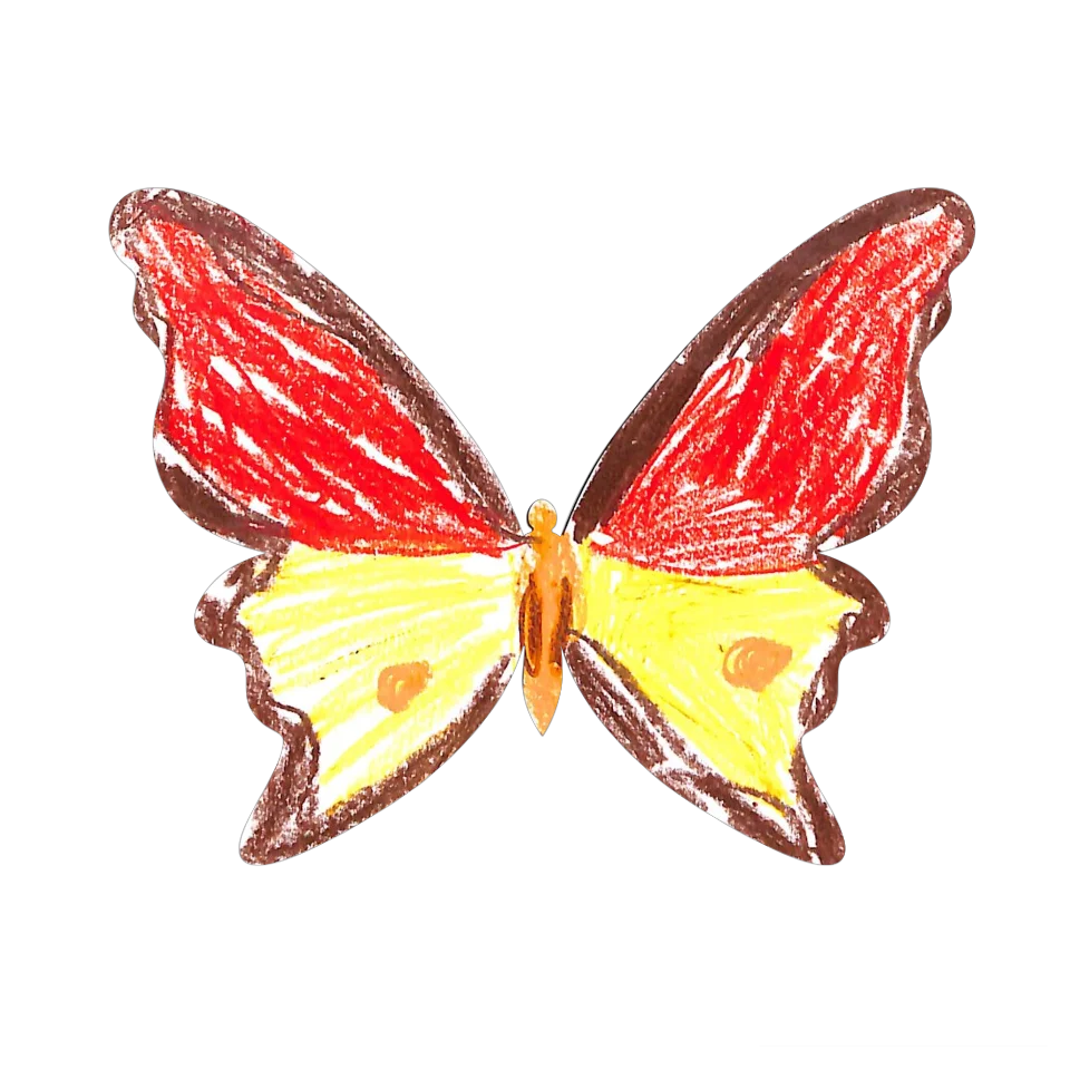 Original Butterfly Image