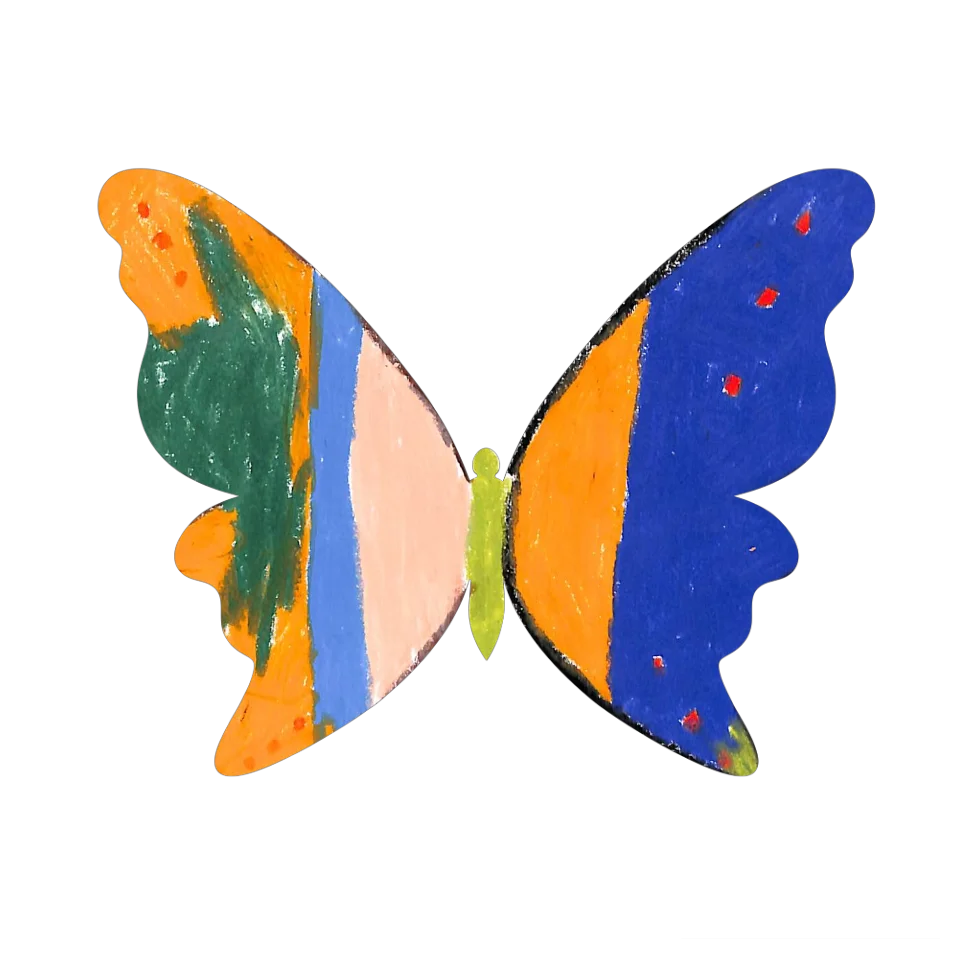 Original Butterfly Image