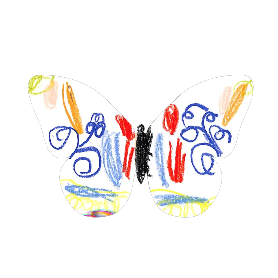 Original Butterfly Image