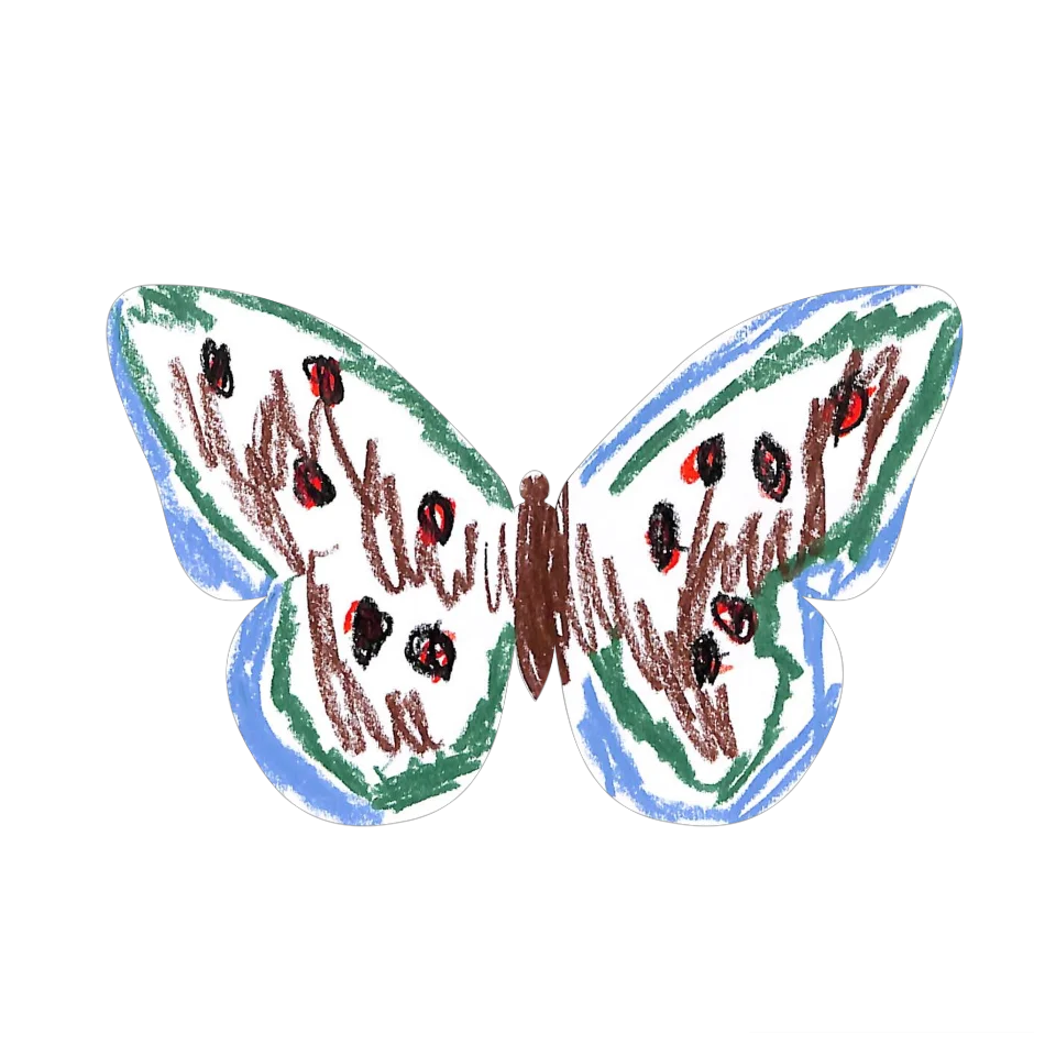 Original Butterfly Image