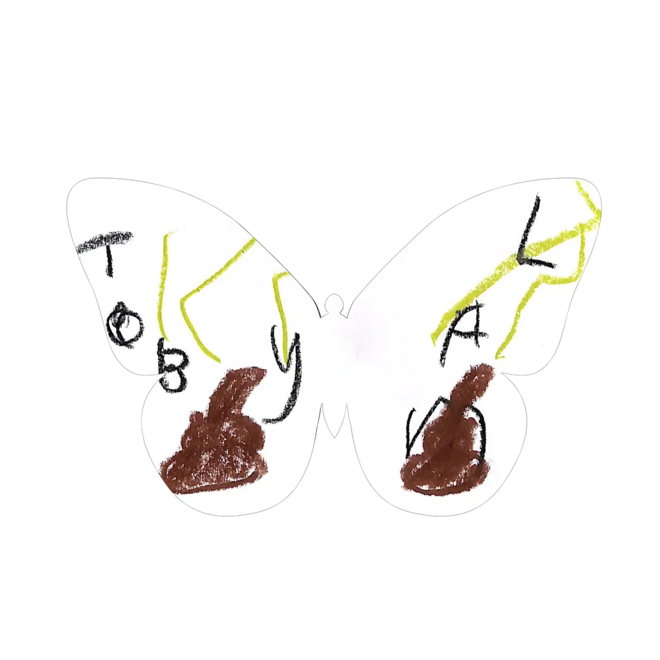 Original Butterfly Image