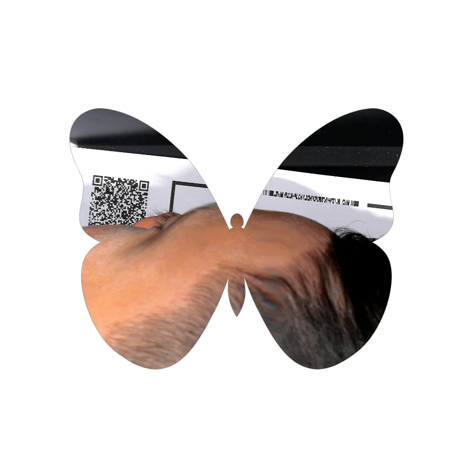 Original Butterfly Image