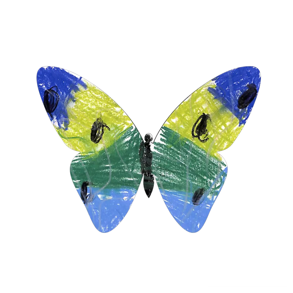 Original Butterfly Image