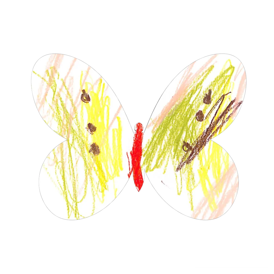 Original Butterfly Image