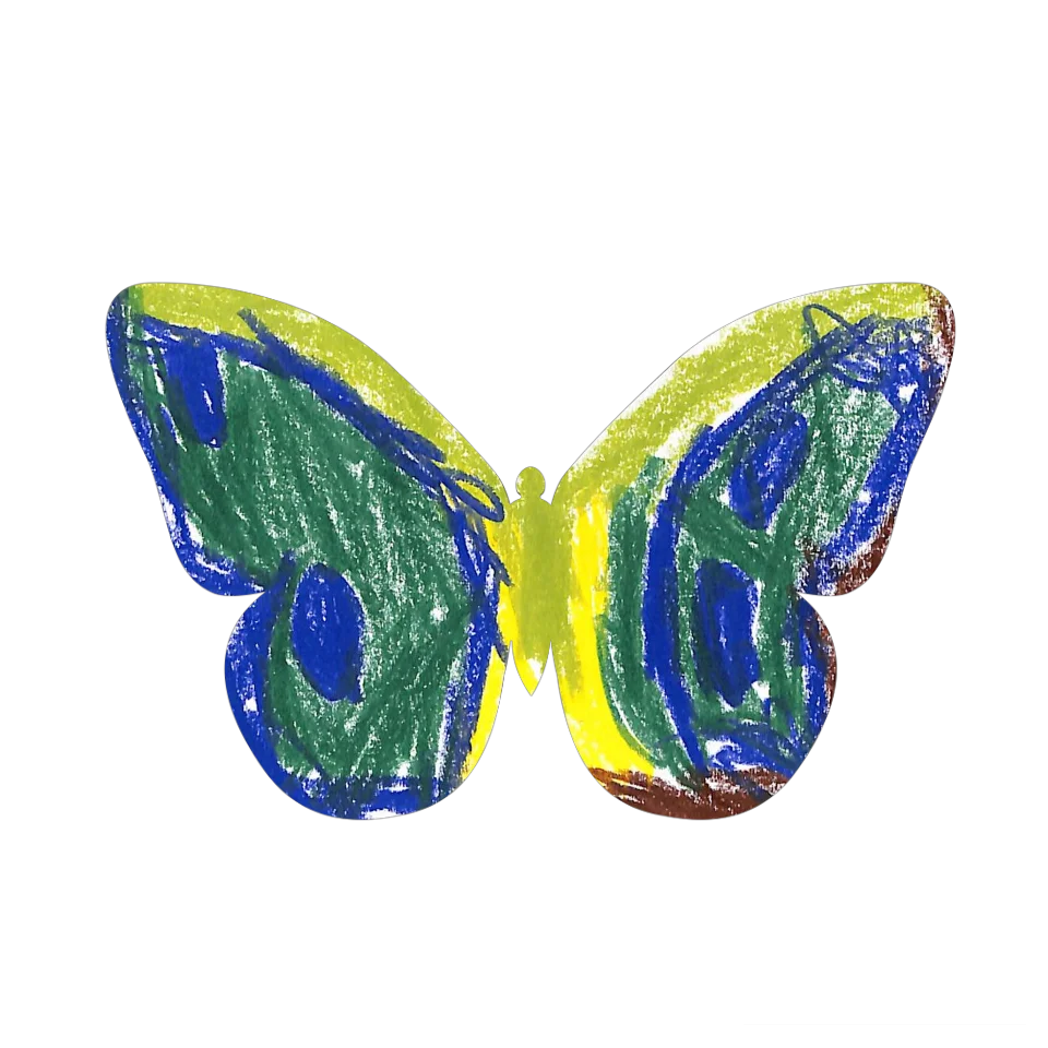 Original Butterfly Image