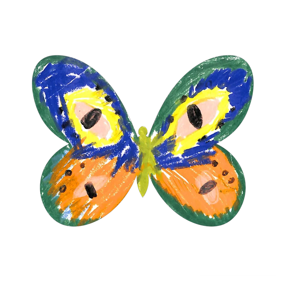 Original Butterfly Image