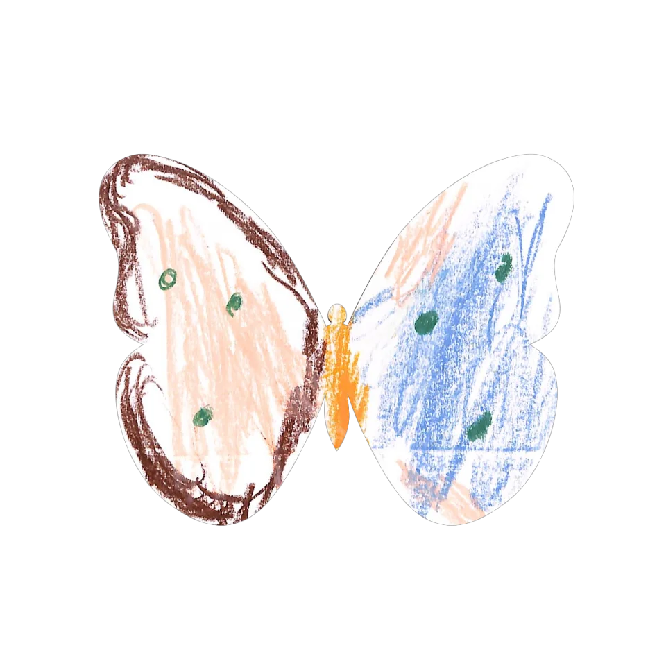 Original Butterfly Image