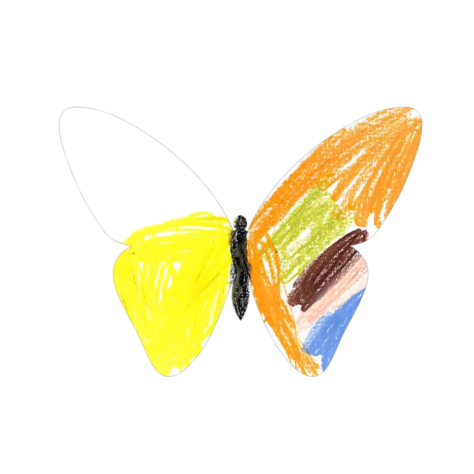 Original Butterfly Image