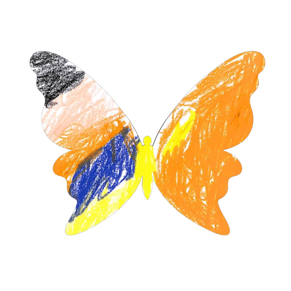Original Butterfly Image