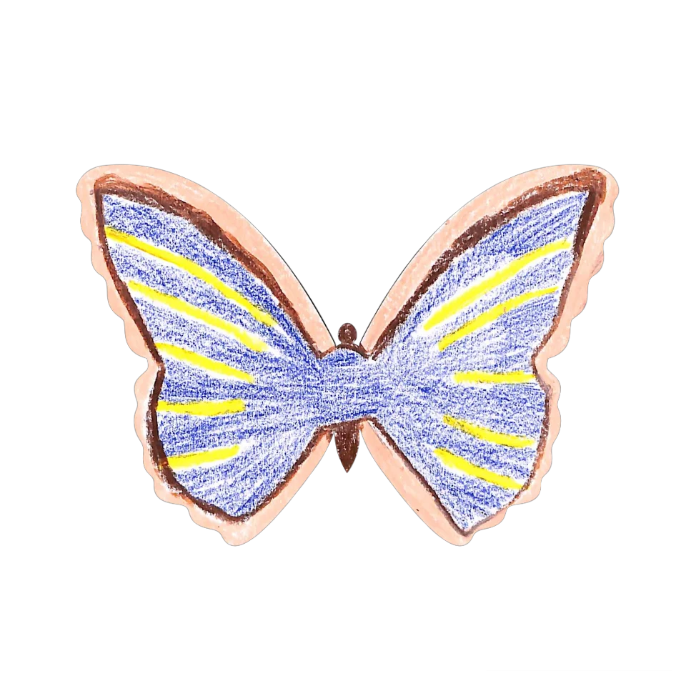 Original Butterfly Image