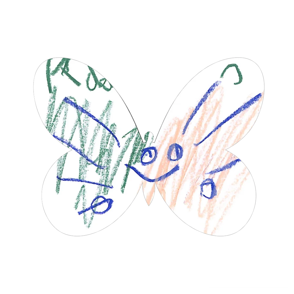 Original Butterfly Image