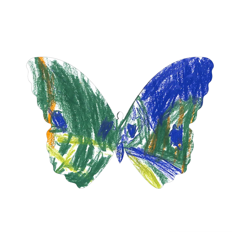 Original Butterfly Image