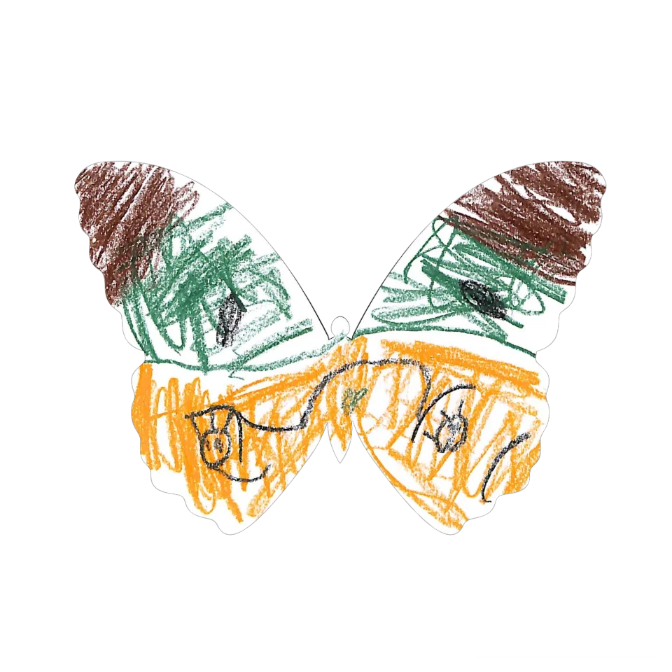 Original Butterfly Image