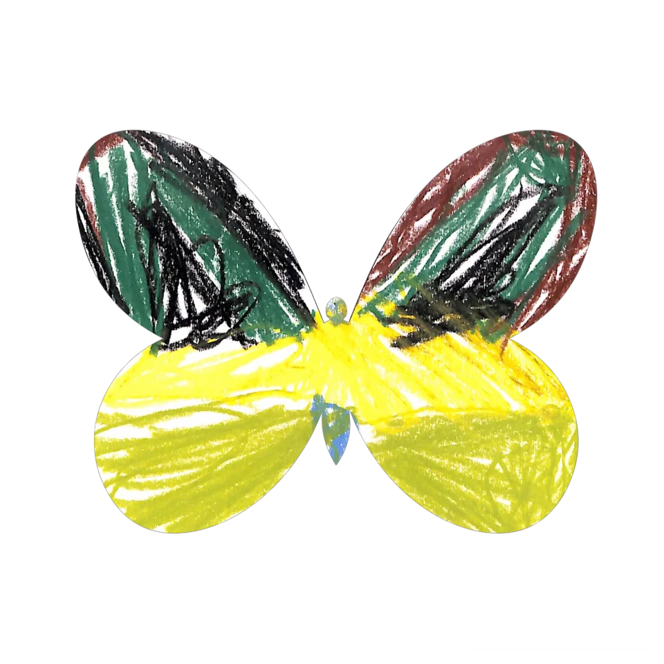 Original Butterfly Image