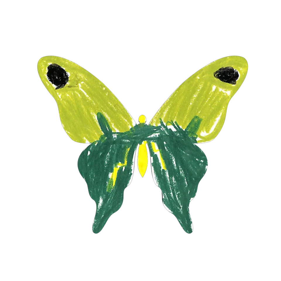 Original Butterfly Image
