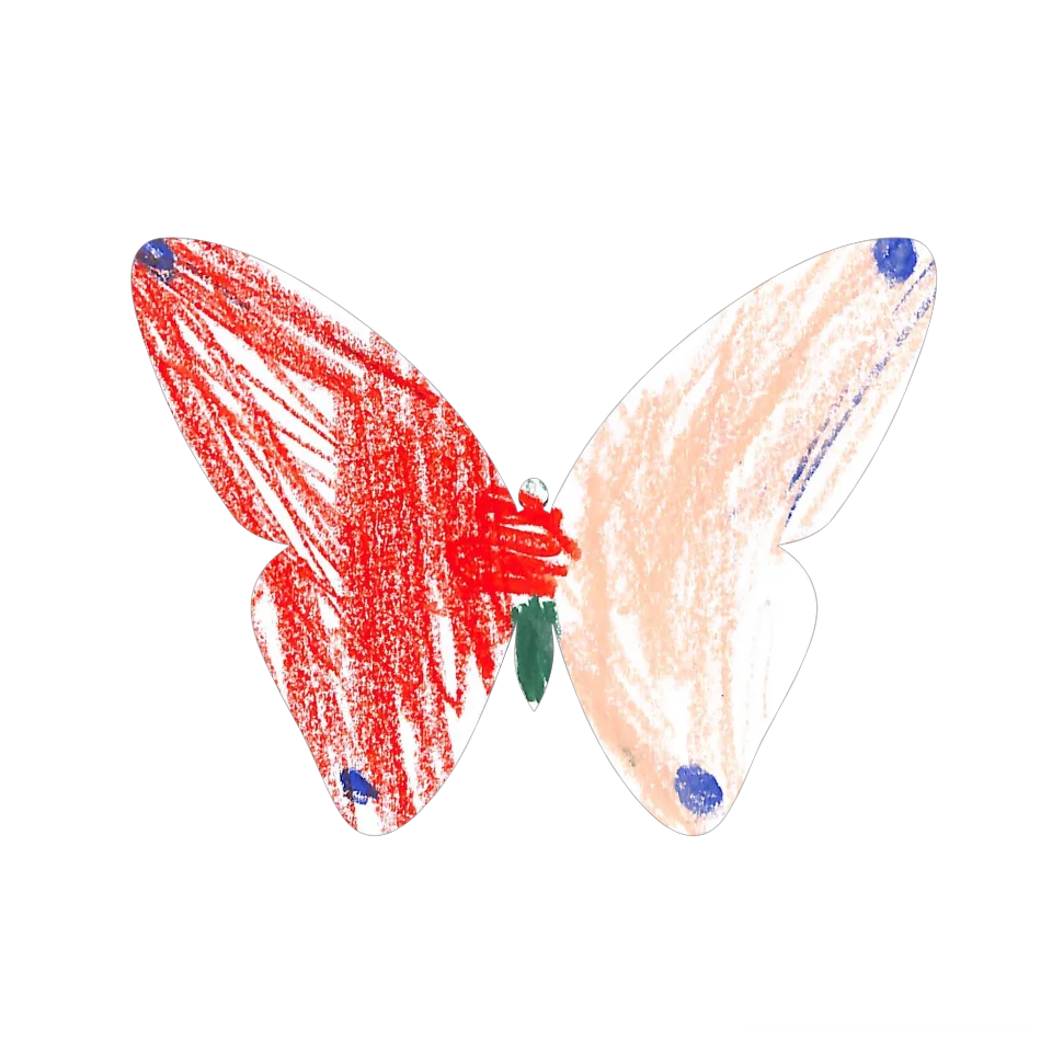 Original Butterfly Image
