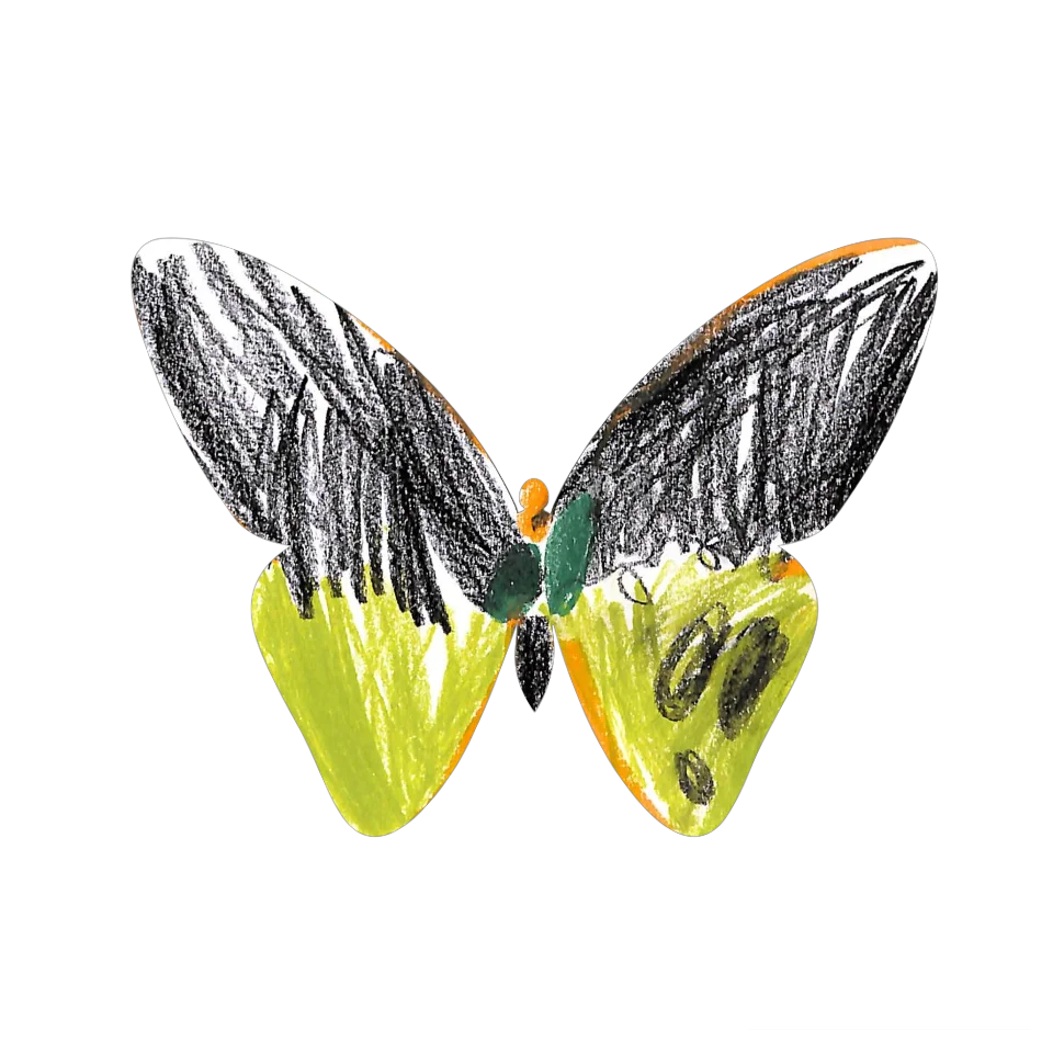 Original Butterfly Image