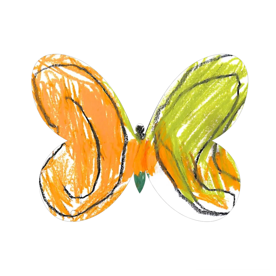Original Butterfly Image