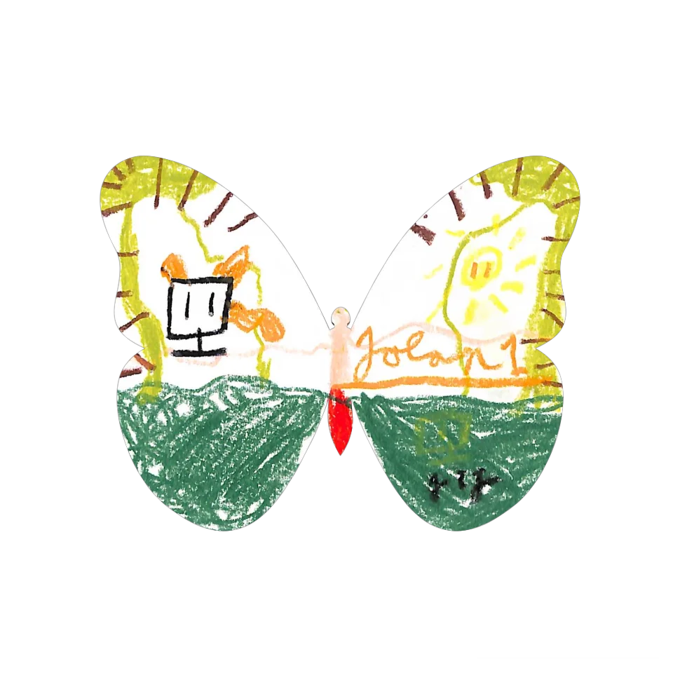 Original Butterfly Image