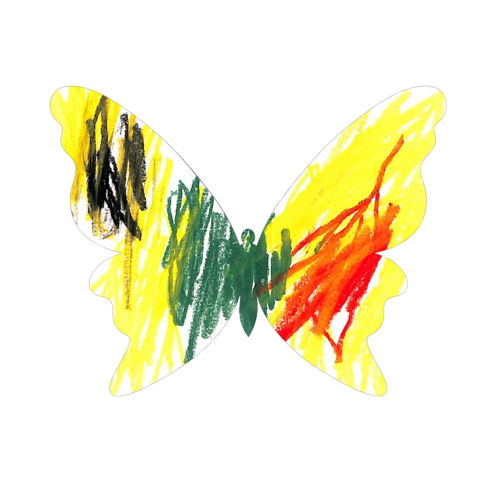 Original Butterfly Image