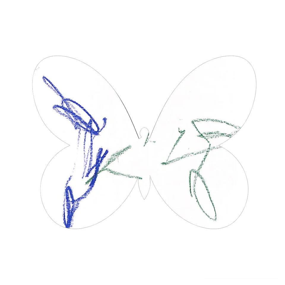 Original Butterfly Image
