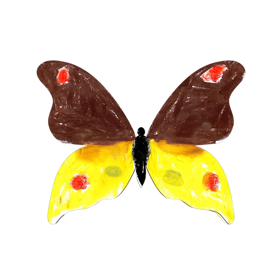 Original Butterfly Image